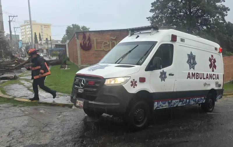 Atiende Protección Civil Municipal a mujer lesionada por caída de árbol