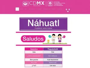 Enseñan en web 5 lenguas indígenas