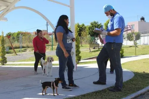 Ayuntamiento fortalece la cultura de protección animal