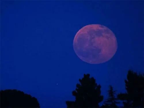Mitos sobre la Luna Rosa y cuándo podrás verla