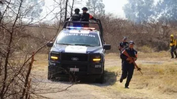 Policía Forestal de Puebla reporta 870 operativos y decomisos de madera ilegal en su primer año