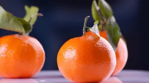 Una píldora milagrosa podría combatir la obesidad y la diabetes
