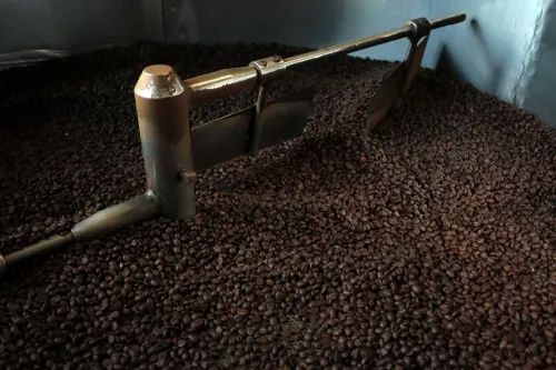 Presenta SDR programa de acompañamiento técnico para la cafeticultura