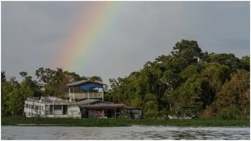 Por el calentamiento, más del 40% de la selva del Amazonas podría convertirse en sabana