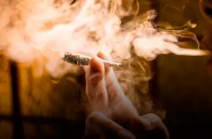 Cofepris recibe nueva solicitud para consumo de cannabis
