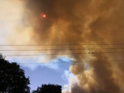 Cierran autopista Amozoc-Perote por incendio forestal