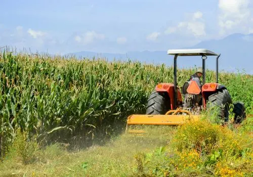 Incrementará México 27.8% de producción agrícola gracias a Planeación Estratégica de SAGARPA