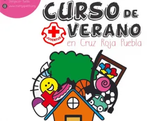 Cruz Roja Juventud invita a Curso de Verano 2014