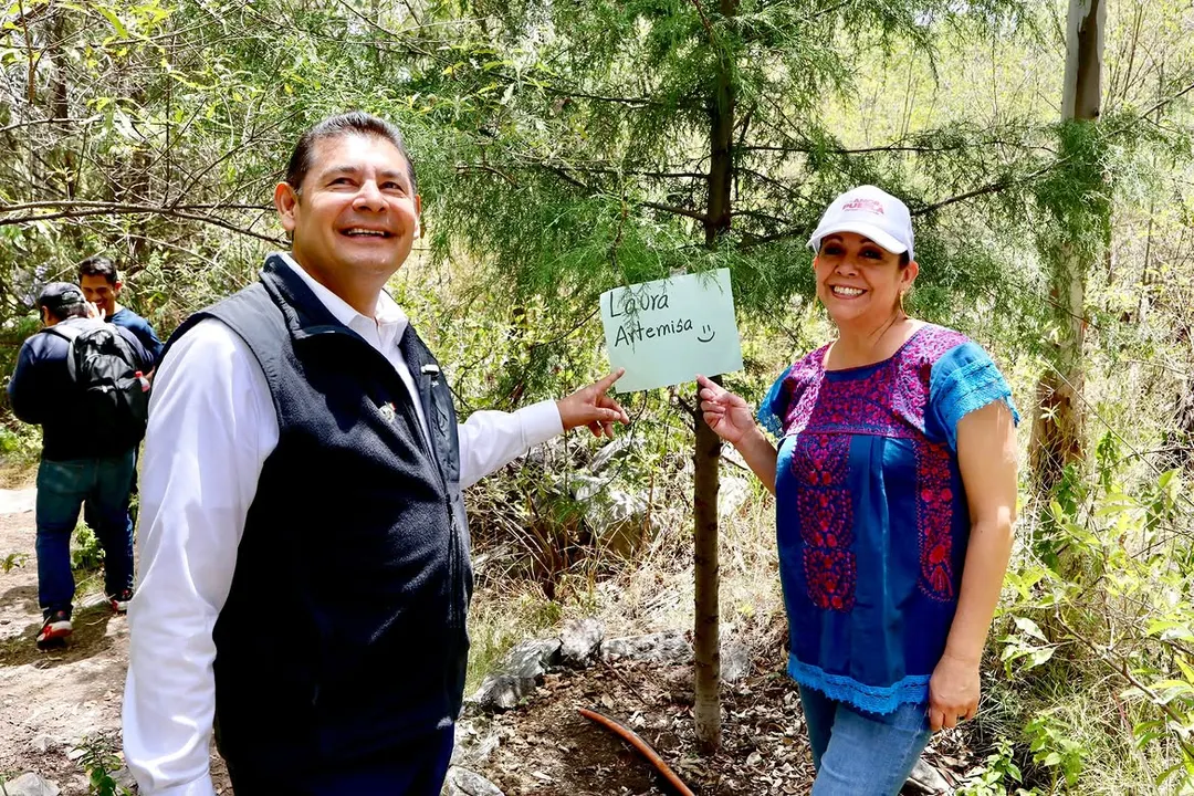 Alejandro Armenta Laura Artemisa Garcia