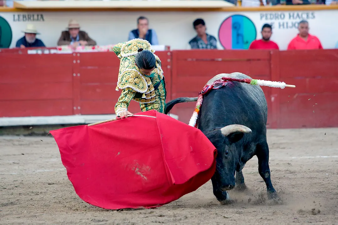 Corrida De Toros Feria De Puebla