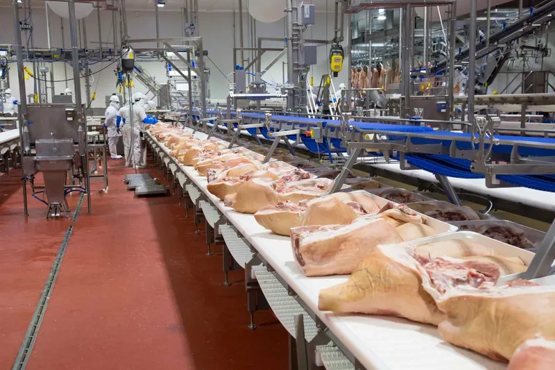 granjas-carroll-carne-de-cerdo-calidad-suprema