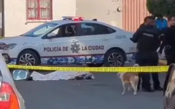 Hombre muere atropellado en Granjas de San Isidro