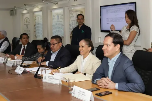 Comisión Inspectora pondrá especial atención en revisión de cuentas de Ernestina Fernández