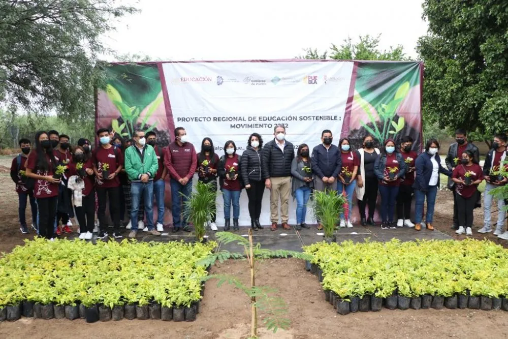 Promueve SEP reforestación en instituciones educativas