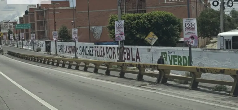 PVEM inicia apoyo discreto a favor de Gaby “La Bonita” Sánchez