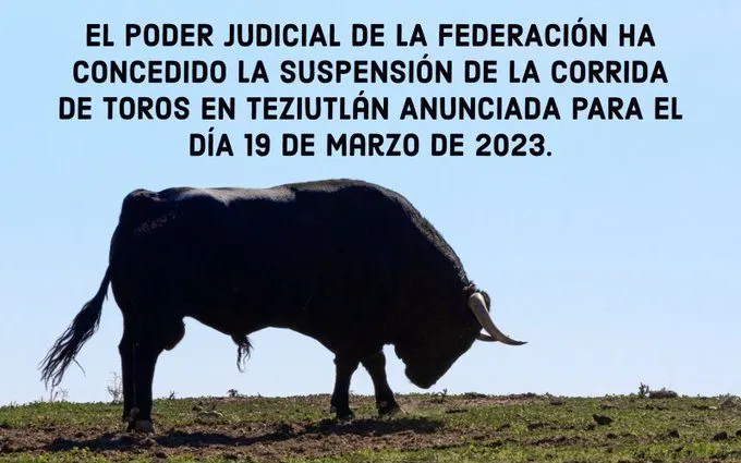 plaza de toros