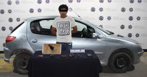 Otro asaltante más en la cárcel; atracó dos negocios y fue detenido por la Policía Municipal