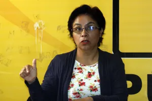 Consejeros estatales PRD piden renuncia de Socorro Quezada?