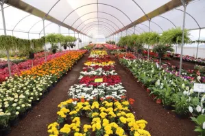 Expo Flores y Plantas 2016 impulsa la economía de Atlixco Pueblo Mágico