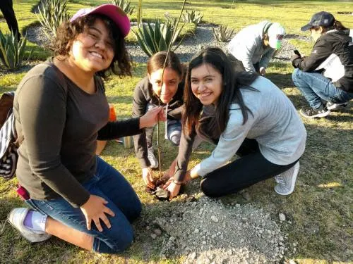 Reforestan parques estatales por Día mundial del medio ambiente