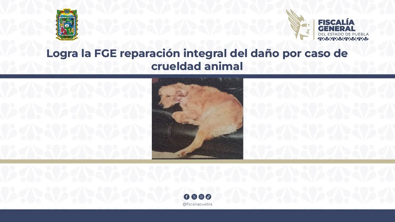 Foto: Especial