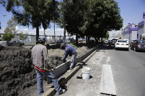 Gobierno modifica instalación de paraderos para respetar árboles para línea 3 de RUTA
