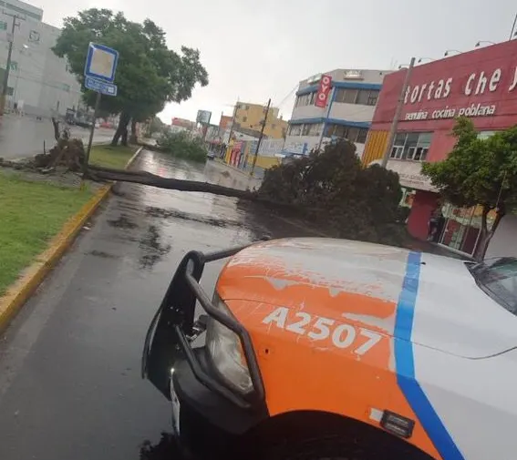 Imagen del artículo