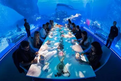 ¿Sabes que es la Neurogastronomía?