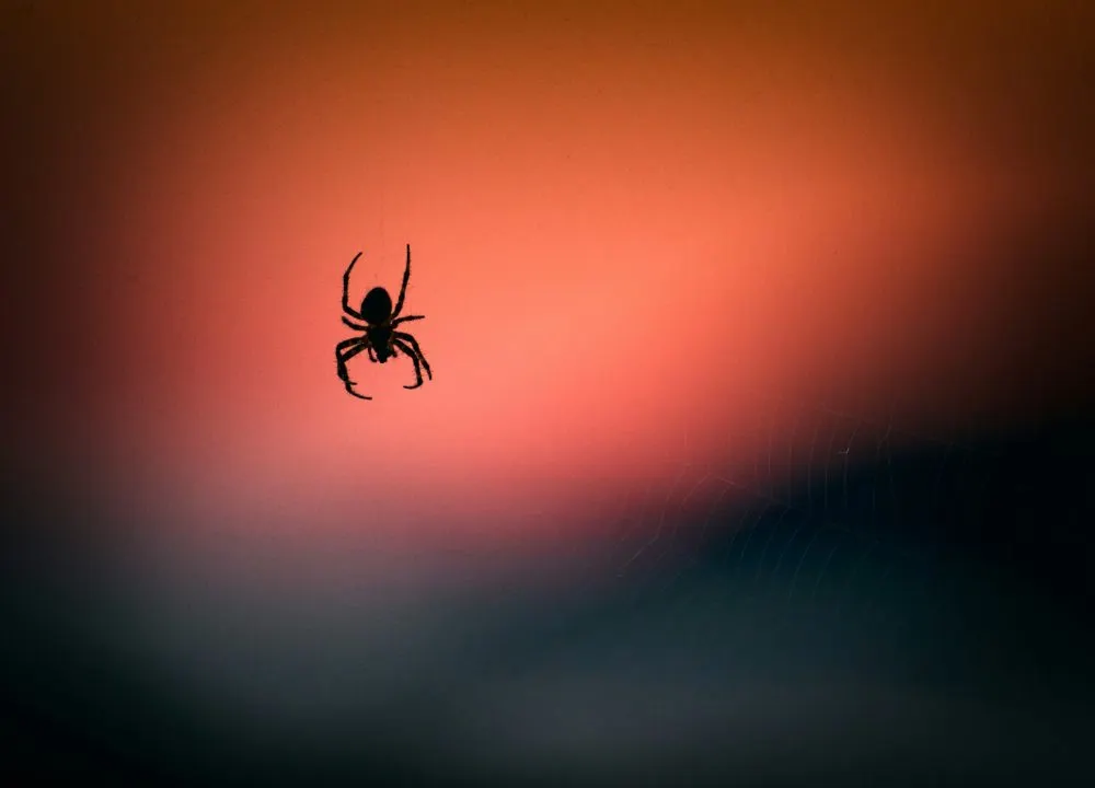 Foto de Vidar Nordli-Mathisen en Unsplash