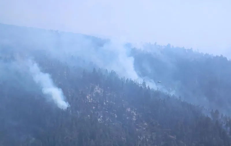 armenta-incendios-forestales