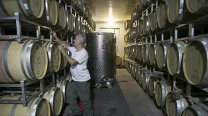 La sangre de Cristo: científicos tratan de recrear el vino de la época de Jesús