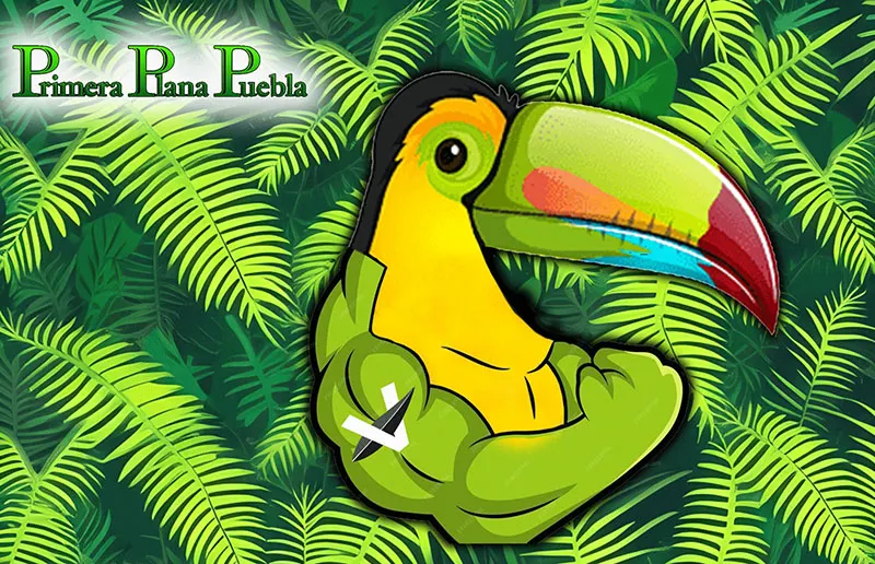 El súper Verde
