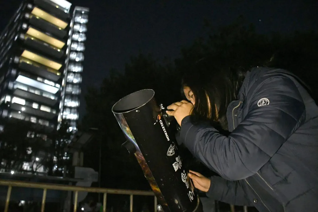 Buap Noche De Las Estrellas