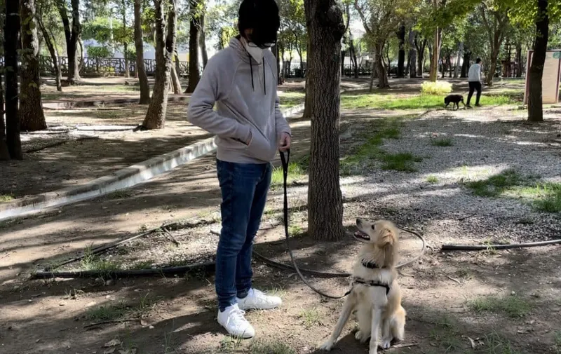 ofrece-medio-ambiente-municipal-curso-de-adiestramiento-canino