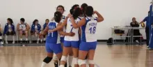 Dan Borreguitas de voleibol duro golpe