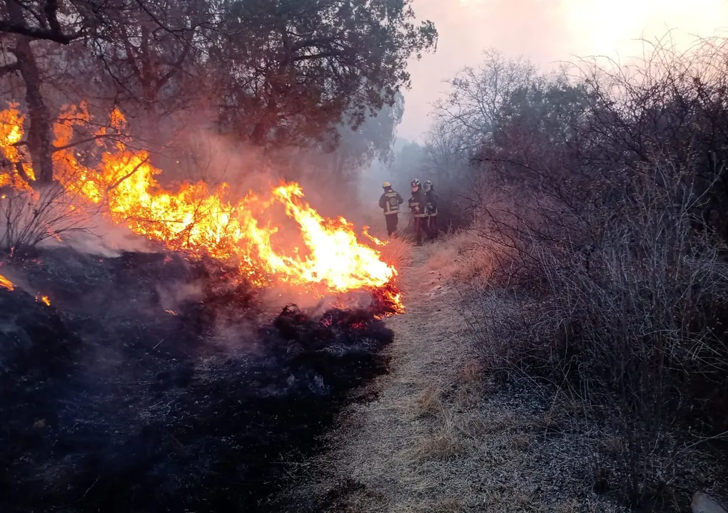 Incendio forestal/ Foto: Redes