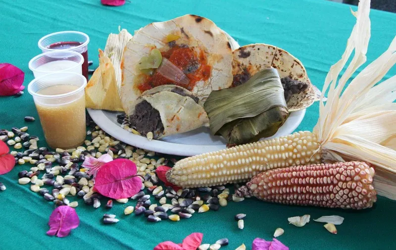 zoquitlan-cultura-sistema-milpa