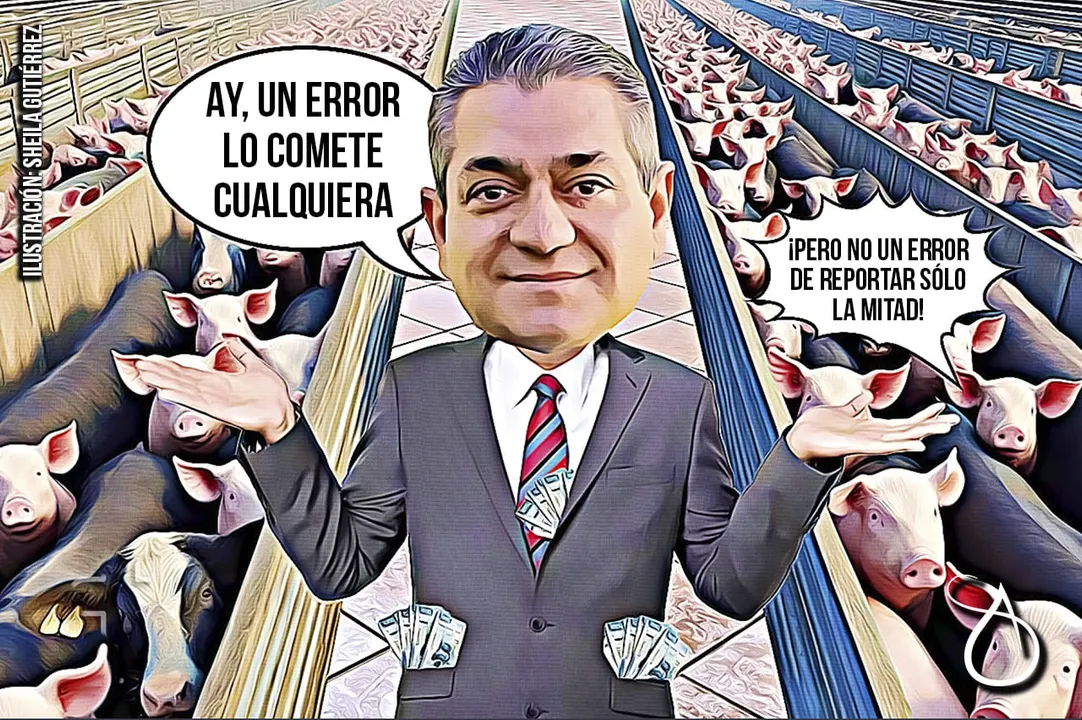 Grave Caso De Corrupcion En El Rastro Municipal Que Pepe Chedraui No Debe Dejar Impune C