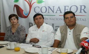 Confirman presencia de jaguar en reserva de biósfera