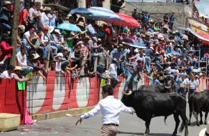 Video muestra momento de cornada a Vanessa Barahona