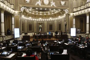 Nuevo diputado PSI asegura que llegó al Congreso sin línea legislativa