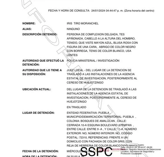 Imagen del artículo