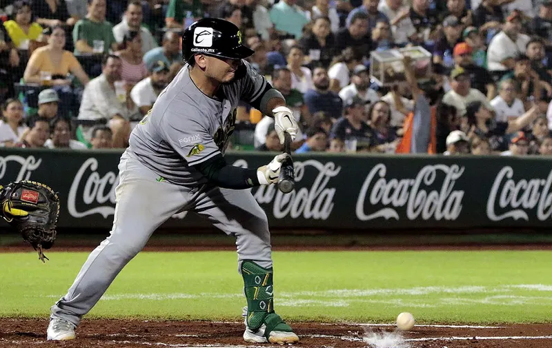 pericos-de-puebla-leones-de-yucatan