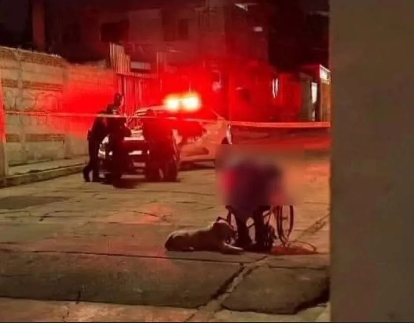 Hombre de la tercera edad muere acompañado de su perrito, en Reforma Sur