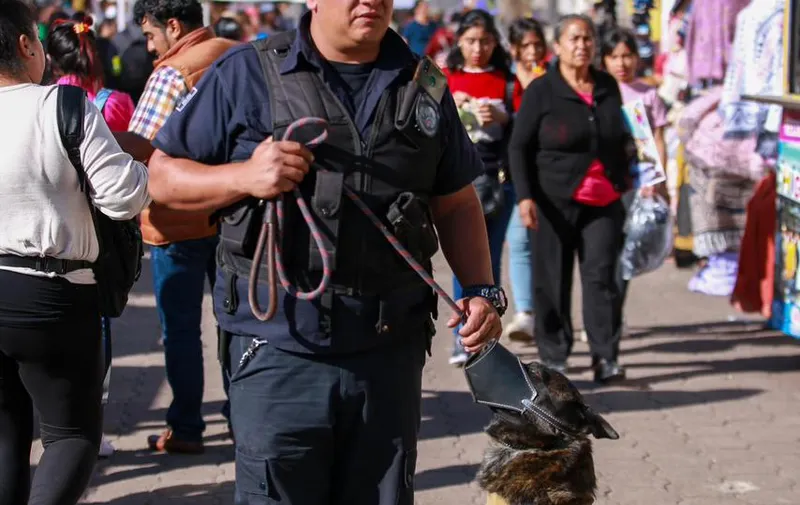 Imagen del artículo