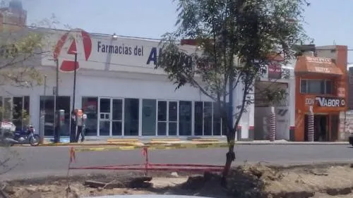 Gobierno del Estado realizará una serie de reforestaciones urbanas: SDRSOT