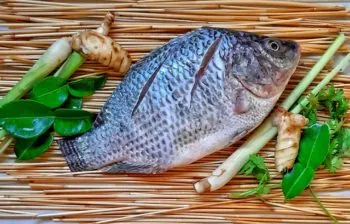 Mujer pierde sus cuatro extremidades luego de contraer infección por comer pescado infectado