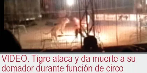VIDEO: Tigre ataca y da muerte a su domador durante función de circo