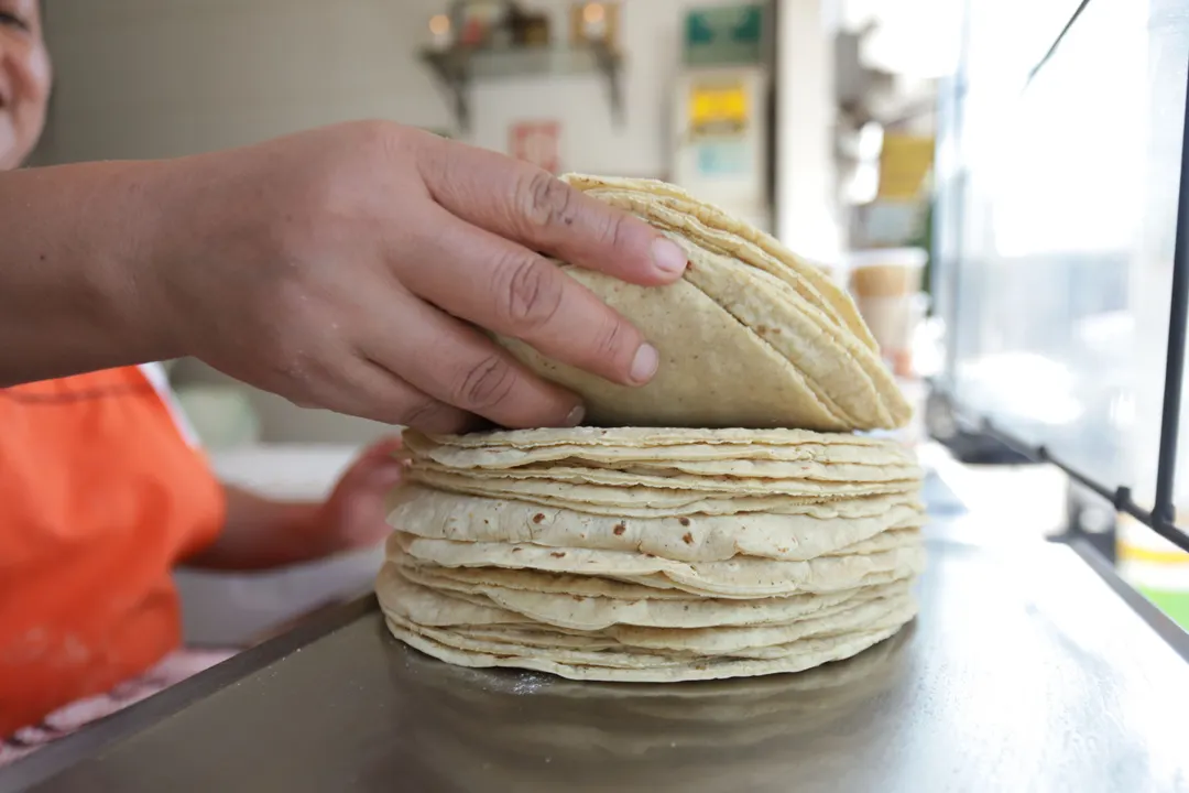 Aumenta precio de la tortilla en Puebla; alcanza hasta los $15 por kilo
