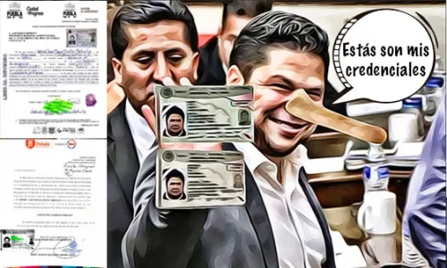 Las dos credenciales para votar del diputado fake